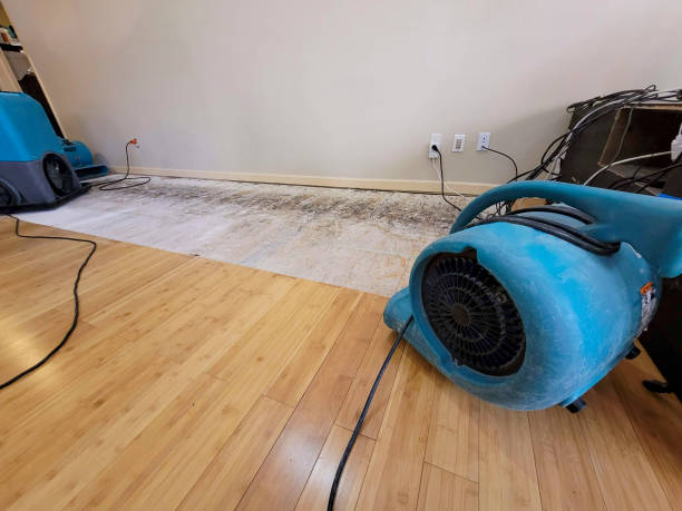 Professional Basement Flood Cleanup technician working in South Lancaster, MA